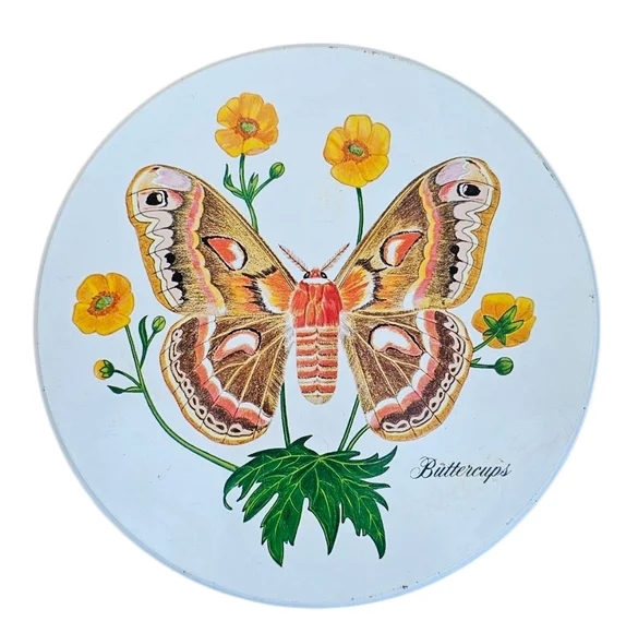 Vintage Tom Sturgis Pretzels Tin Butterfly & Flora Scenel Decorative - Picture 5 of 10